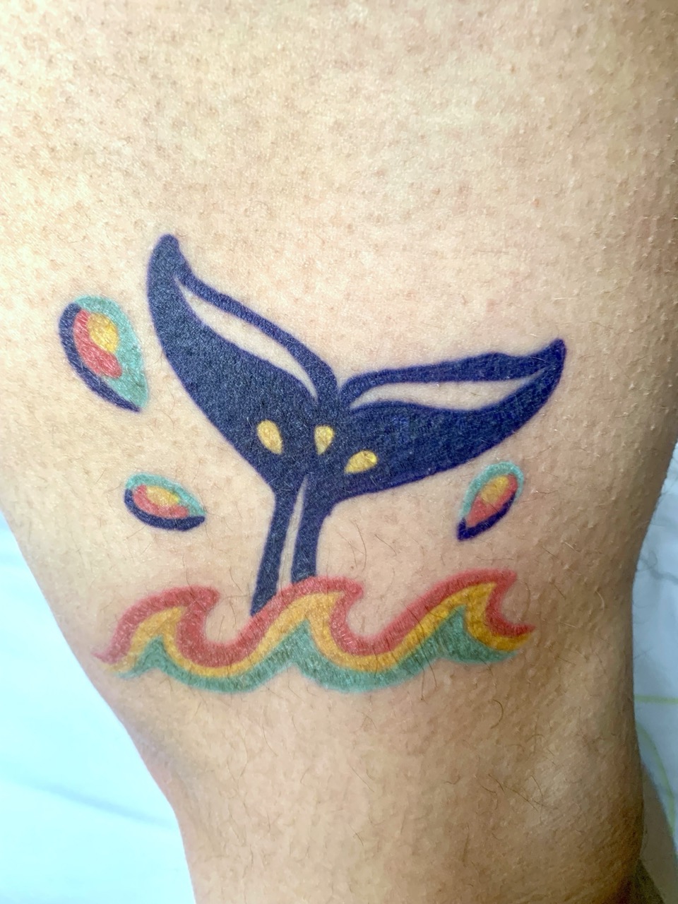 Tattoo queue de baleine couleur